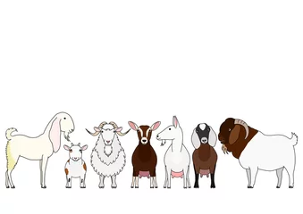 Fotobehang cute cartoon goat group © Studio Ayutaka