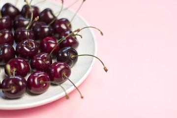 sweet cherry berries on a white plate on a pink background with a space for text