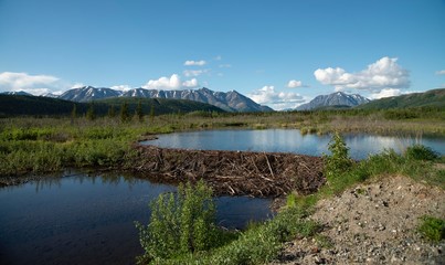 View of Alaska's wilderness: Mountains, River, Beaver Dam, and reflection in pond © JMP Traveler