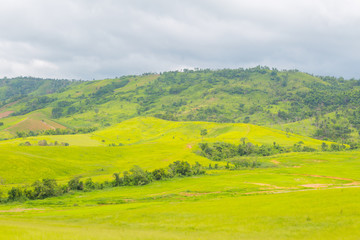 Fototapeta na wymiar Green Mountains Landscape with Grass