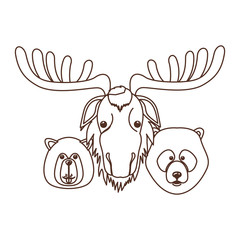 Moose beaver and bear animal of canada design