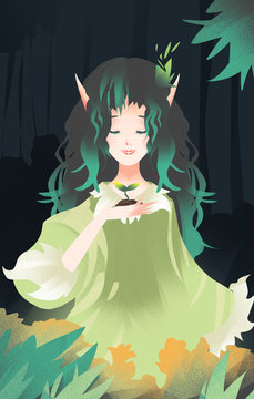 The fairy illustrations