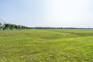field of green grass and blue sky with clouds