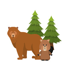 Bear and beaver forest animal of canada design