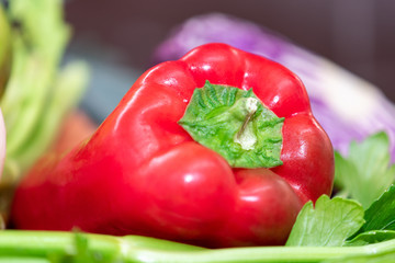 riquísimos vegetales de muchos colores texturas y sabores para una rica sopa  