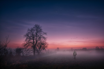 Obraz premium sunset 