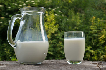 A glass jug and a clear glass filled with white fresh milk stand on a gray cracked old stump against a blurred background of dense foliage of green trees and elder bushes
