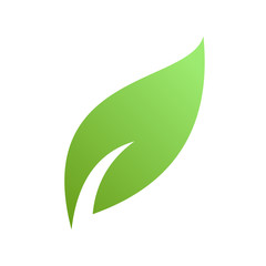 Green leaf logo illustration