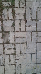 Paving block texture
