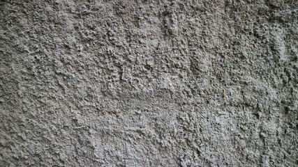 Texture gray plastered wall for background