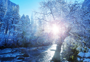 Fototapeta premium Early spring in Yosemite