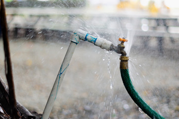 garden faucet wasting water by cooling the yard connected with a green irrigation hose