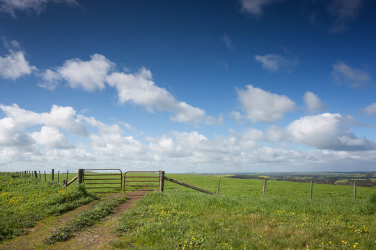 A Farm Gate On A Hill In Rural Victoria, In Australia.