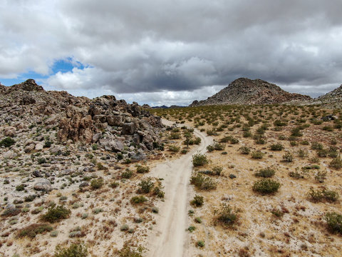Aerial view of empty dirt road in the arid desert. Off road in the desert. Joshua Tree National Park. American national park in southeastern California, USA.