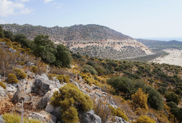 Southern hot landscape. Small trees and shrubs with stones in the summer.
