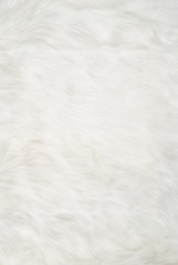 Fototapeta na wymiar White fur background