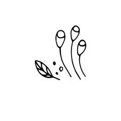 May-lily logo in hand drawn style