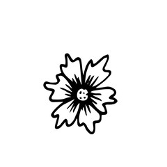 Cornflower logo in hand drawn style