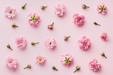 Rose pattern. Flat lay spring and summer rose flowers on a pink background. Repetition concept. Top view