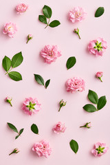Rose pattern. Flat lay spring and summer rose flowers on a pink background. Repetition concept. Top view
