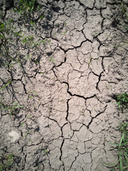 Texture of dry cracked earth. The desert background. The global shortage of water. Deep cracks in brown land as symbol of hot climate and drought.