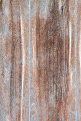 Obraz premium old wood texture