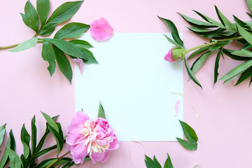 Different pink peonies with leaves on green background