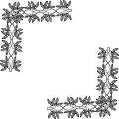 Vector illustration elegant flower frame with backdrop white
