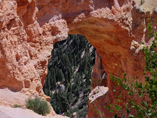 Close shot of the Natural Bridge, an 85-foot arch carved out of sedimentary red rock at Bryce Canyon National Park in Utah, with a view of the pine trees below.