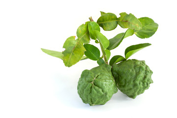 Whole bergamot, Kaffir lime, Leech lime or Mauritius papeda with leaf is a vegetable and herb of Thailand used as an ingredient in cooking and herbal medicine isolated on white background.