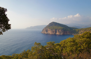 Beautiful summer seascape. Mountain coast of the blue sea. Rocks and forest near the ocean coast.