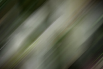 abstract green background