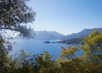 Obraz premium Beautiful summer seascape. Mountain coast of the blue sea. Rocks and forest near the ocean coast.
