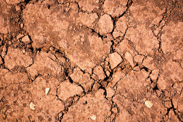 dry reddish earth with cracks