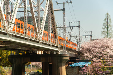 Obraz premium 桜の花と鉄橋とオレンジの鉄道