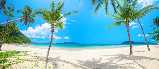 panorama of tropical beach with coconut palm