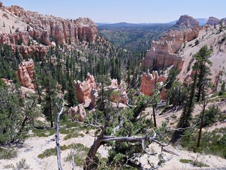 Scene from the lookout of Farview Point at Bryce Canyon National Park, Utah.