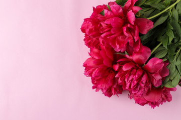 Frame of beautiful bright pink flowers peonies on a gentle pink background. top view. space for text