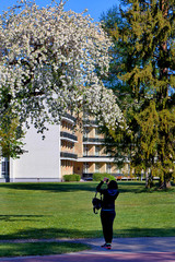 Fototapete bei efototapeten.de bestellen   