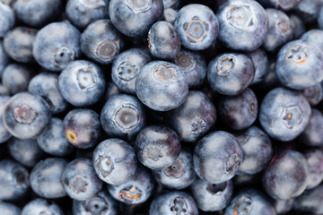 Fresh blueberry background. Texture blueberry berries close up.