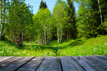 romantischer bachlauf mit brücke