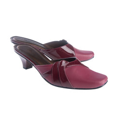 shoe or woman shoe on a background new.