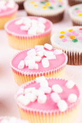 Colorful cupcakes on a pink background.