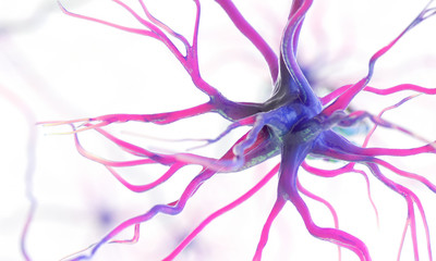 3d rendered medically accurate illustration of a human nerve cell on a white background