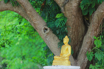 statue of buddha in garden