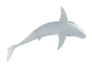 3d rendered illustration of an abstract white shark