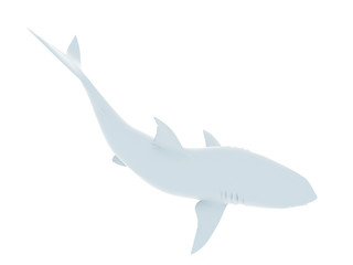 3d rendered illustration of an abstract white shark