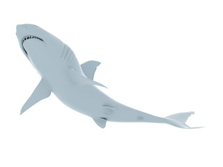 3d rendered illustration of an abstract white shark