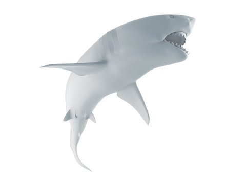3d rendered illustration of an abstract white shark