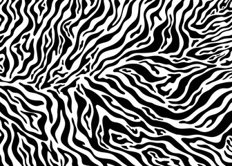 Fototapeta na wymiar Zebra skin pattern design. Abstract animal print vector illustration background. Wildlife fur skin design illustration. For web, home decor, fashion, surface, graphic design